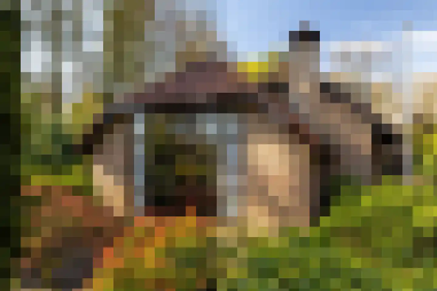 Berkenlaantje 4 Nunspeet thumbnail 5