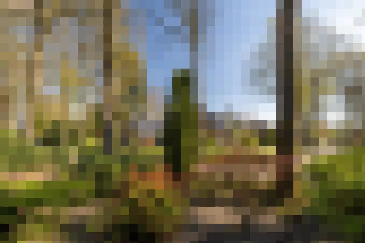 Berkenlaantje 4 Nunspeet thumbnail 6