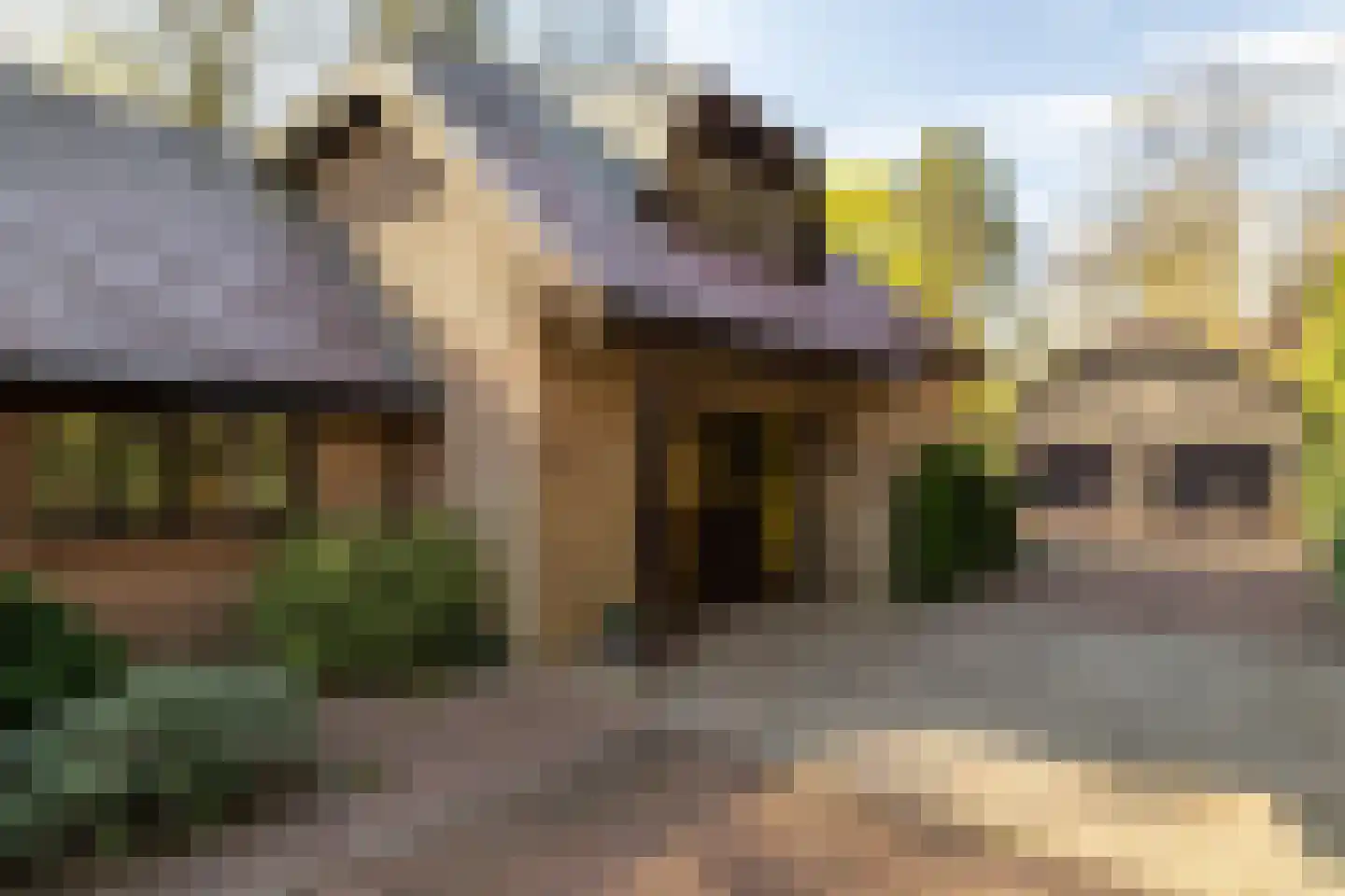 Berkenlaantje 4 Nunspeet thumbnail 7