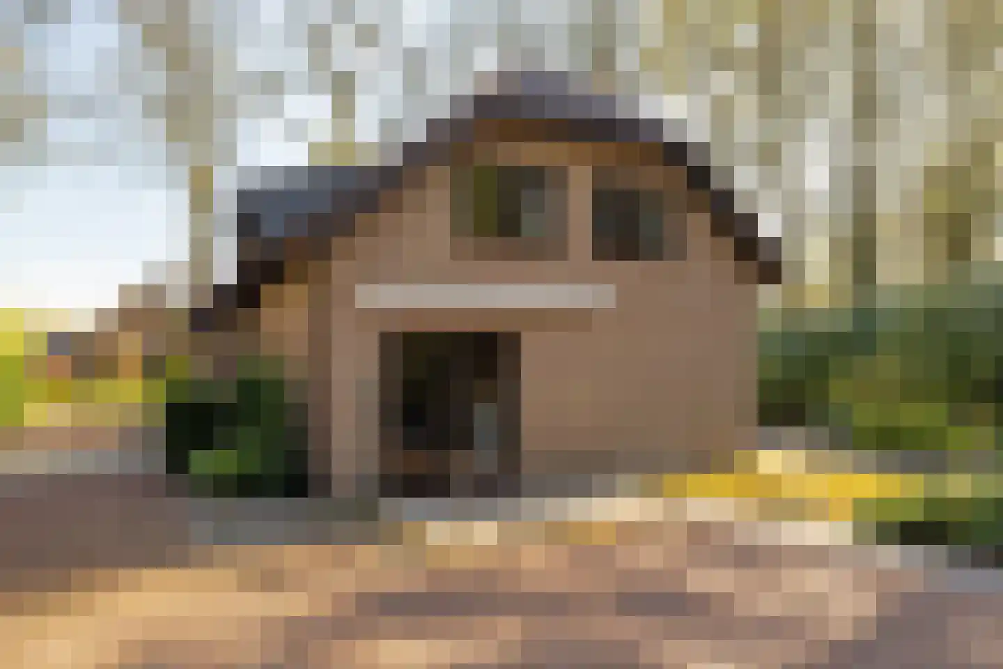 Berkenlaantje 4 Nunspeet thumbnail 8