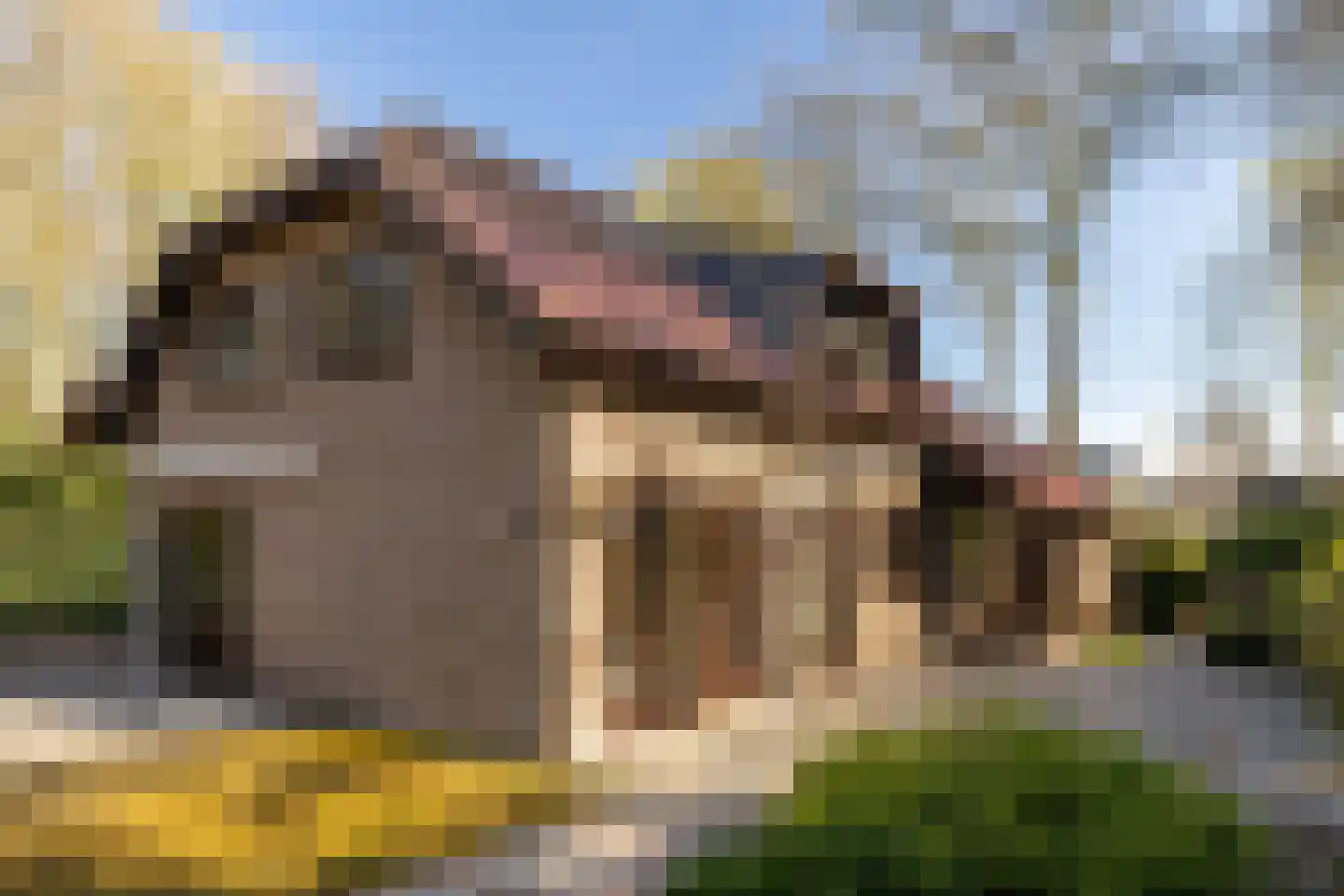 Berkenlaantje 4 Nunspeet thumbnail 9