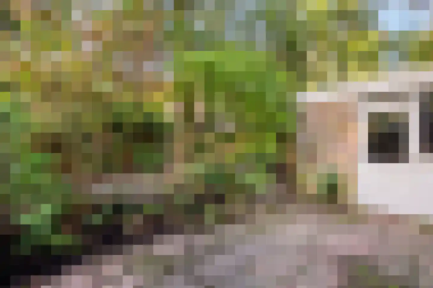 Berkenoord 107 Vaassen thumbnail 23