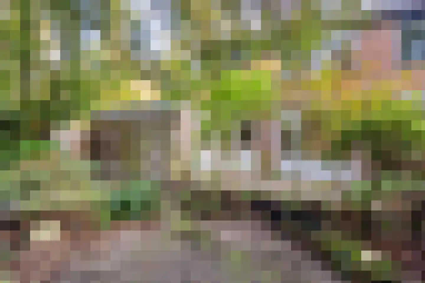 Berkenoord 107 Vaassen thumbnail 24