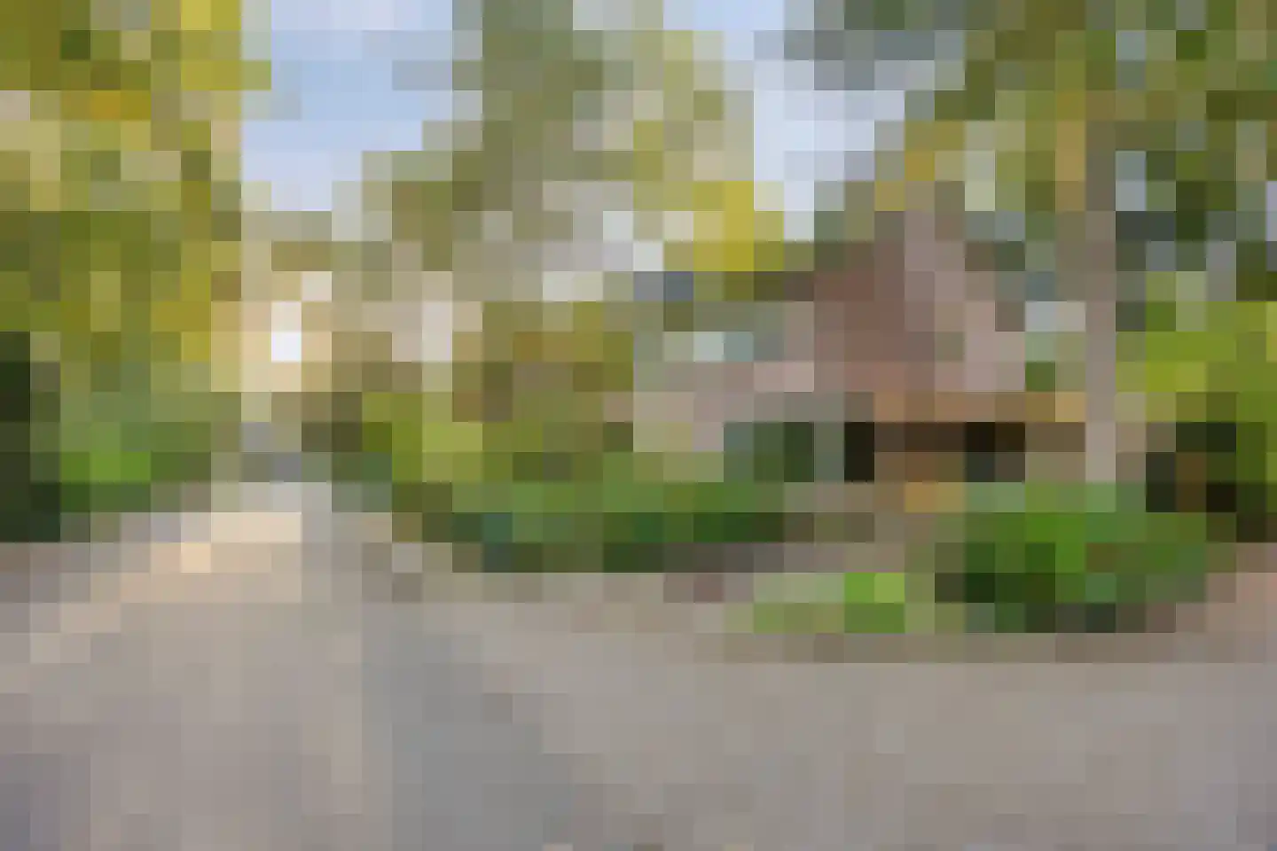 Berkenoord 107 Vaassen thumbnail 27
