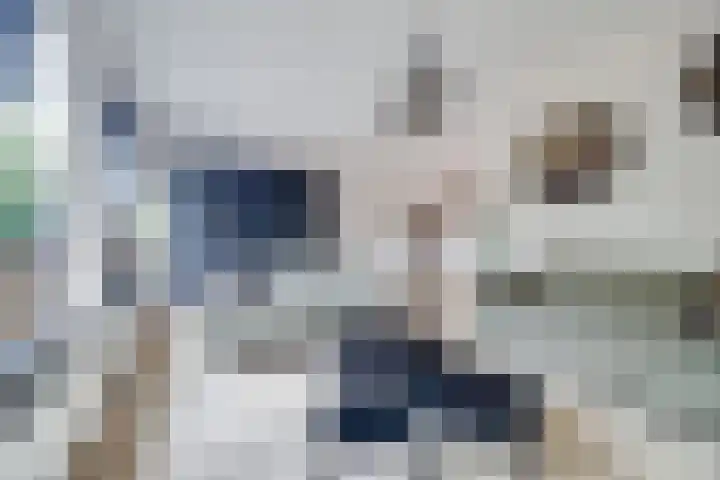 Berkenoord 139 Vaassen thumbnail 10