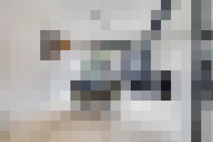 Berkenoord 139 Vaassen thumbnail 11