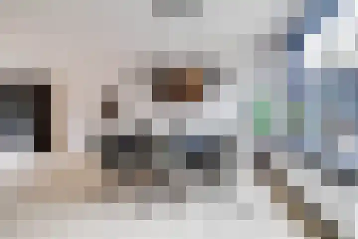 Berkenoord 139 Vaassen thumbnail 12