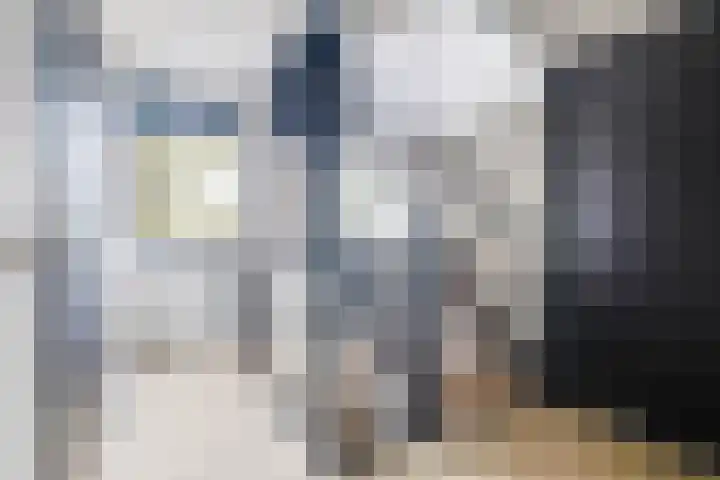 Berkenoord 139 Vaassen thumbnail 19