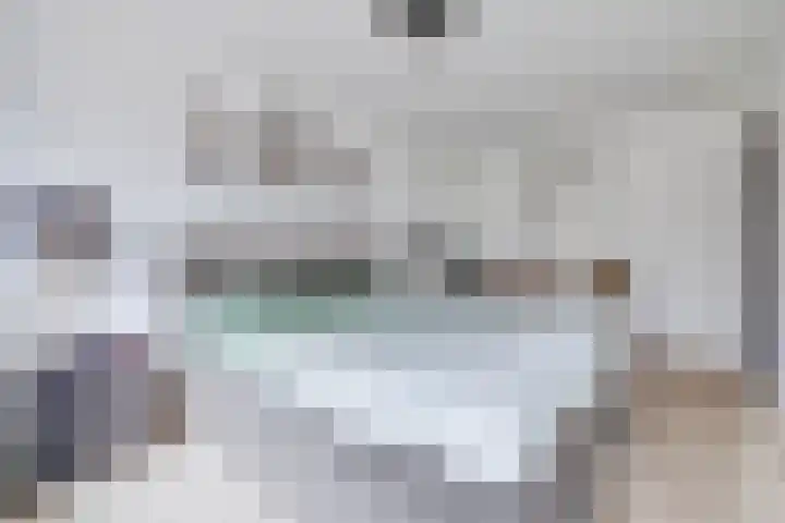 Berkenoord 139 Vaassen thumbnail 21