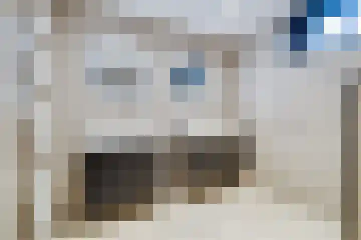 Berkenoord 139 Vaassen thumbnail 26