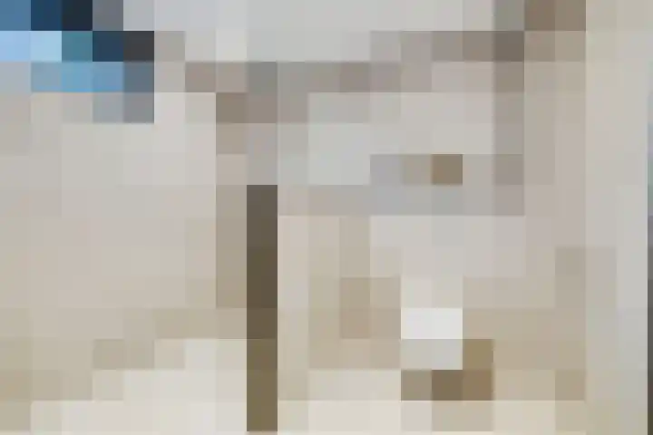 Berkenoord 139 Vaassen thumbnail 27