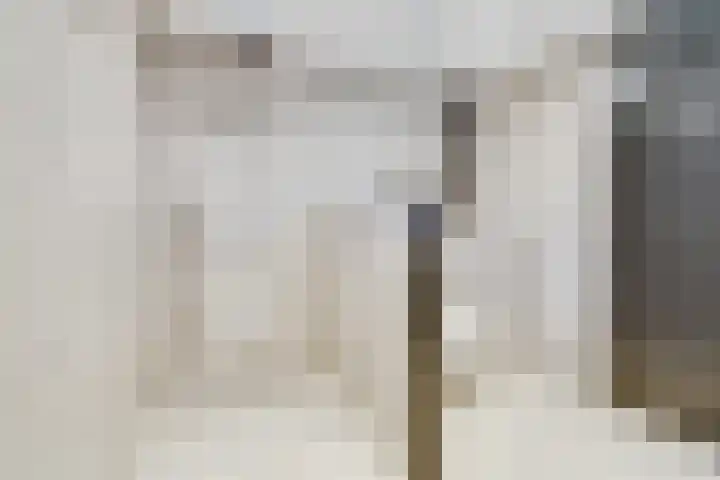 Berkenoord 139 Vaassen thumbnail 28