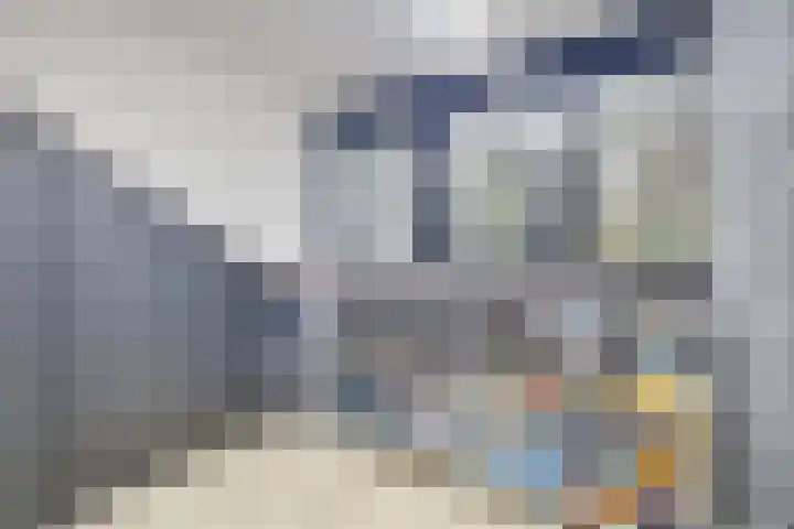 Berkenoord 139 Vaassen thumbnail 31