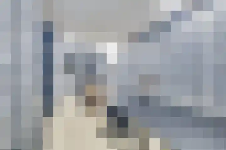 Berkenoord 139 Vaassen thumbnail 33