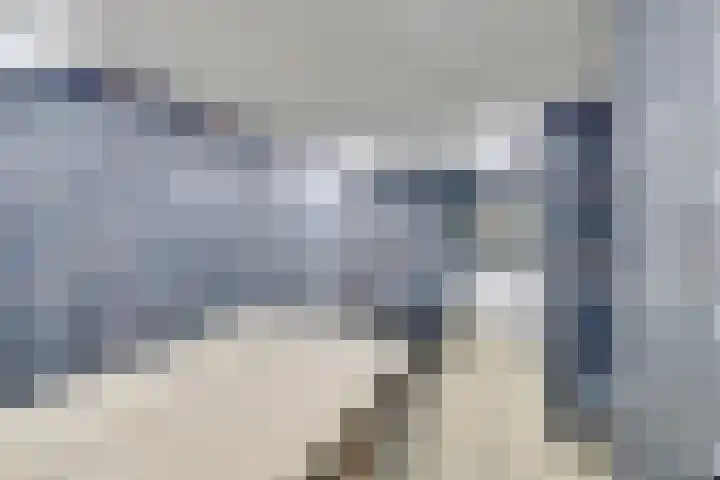 Berkenoord 139 Vaassen thumbnail 34