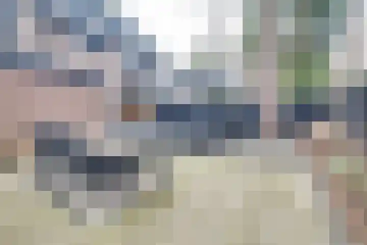 Berkenoord 139 Vaassen thumbnail 35