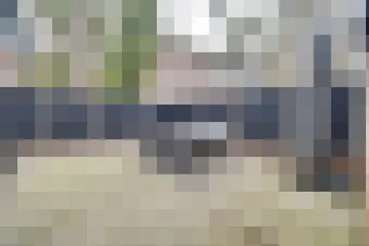 Berkenoord 139 Vaassen thumbnail 39