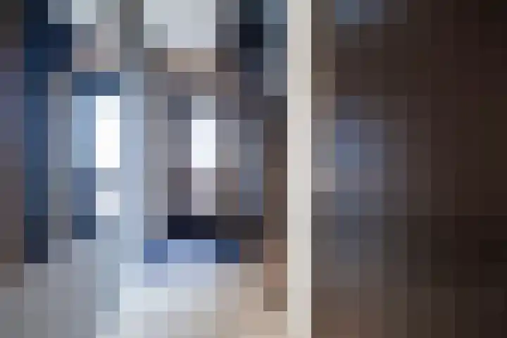 Berkenoord 139 Vaassen thumbnail 4
