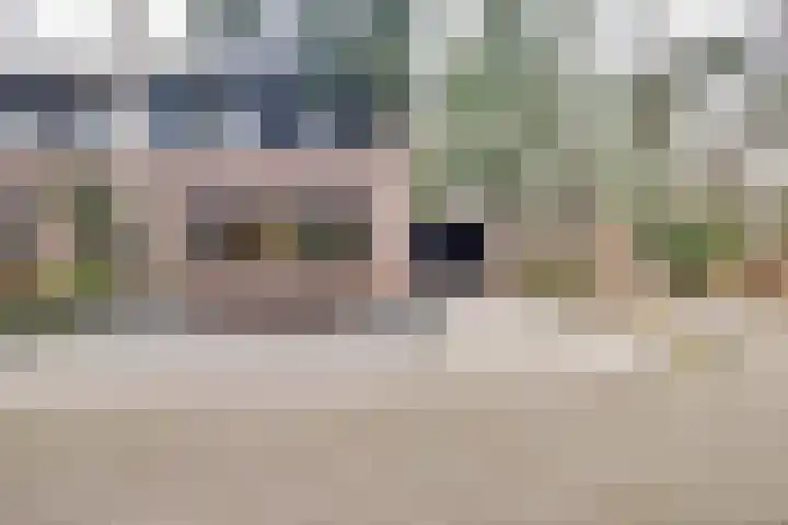 Berkenoord 139 Vaassen thumbnail 40