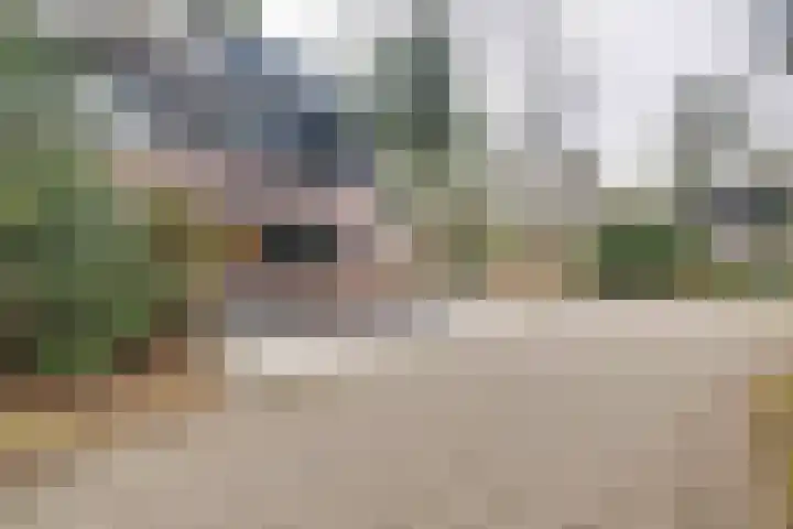 Berkenoord 139 Vaassen thumbnail 42