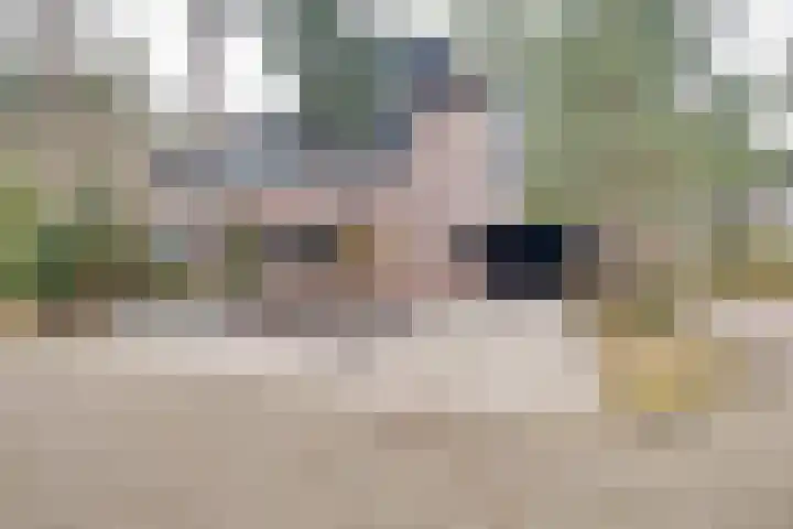 Berkenoord 139 Vaassen thumbnail 43