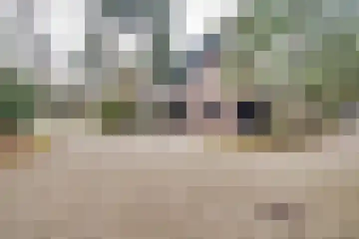 Berkenoord 139 Vaassen thumbnail 44