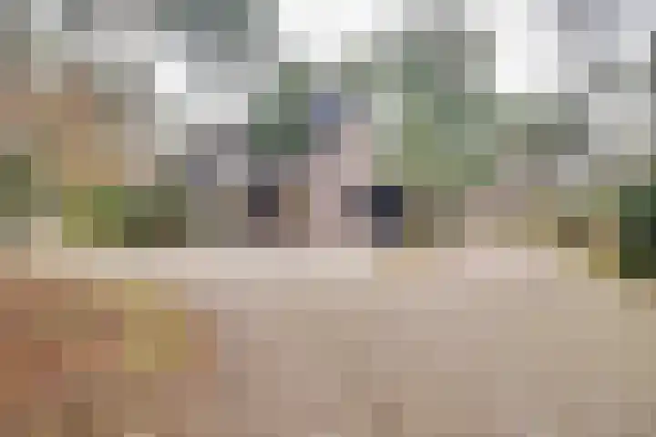 Berkenoord 139 Vaassen thumbnail 45