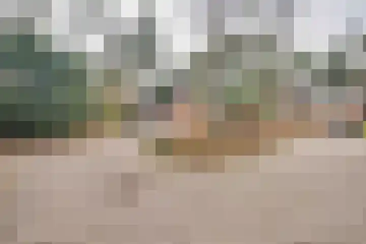 Berkenoord 139 Vaassen thumbnail 46