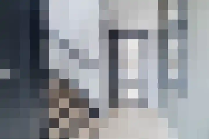 Berkenoord 139 Vaassen thumbnail 5