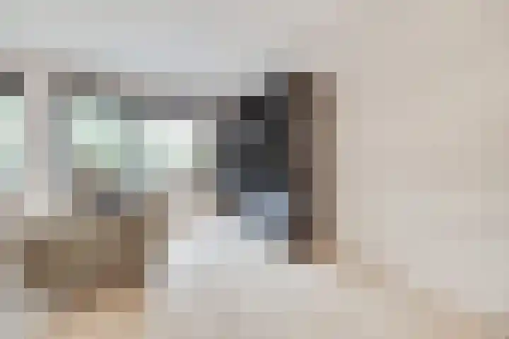 Berkenoord 139 Vaassen thumbnail 7