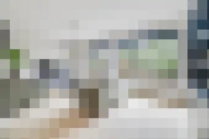 Berkenoord 139 Vaassen thumbnail 8