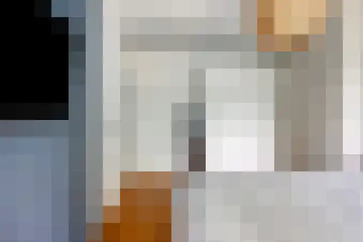 Berkenoord 32 Vaassen thumbnail 10