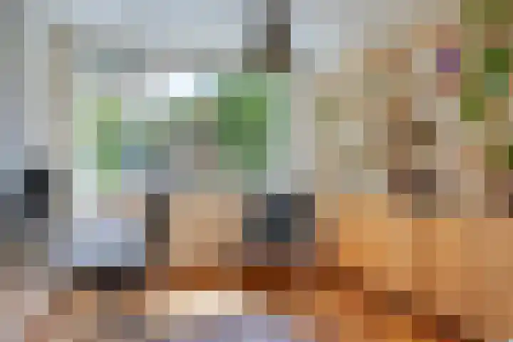 Berkenoord 32 Vaassen thumbnail 11