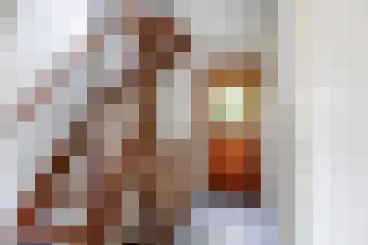 Berkenoord 32 Vaassen thumbnail 14