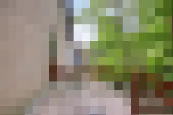 Berkenoord 32 Vaassen thumbnail 15