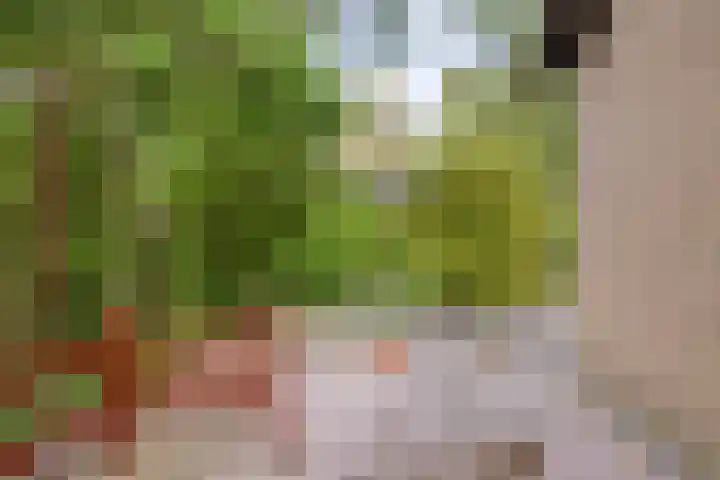 Berkenoord 32 Vaassen thumbnail 16