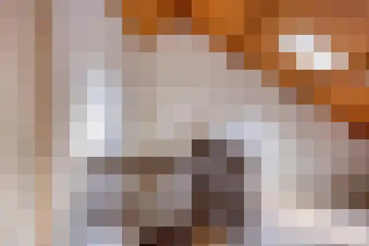 Berkenoord 32 Vaassen thumbnail 17