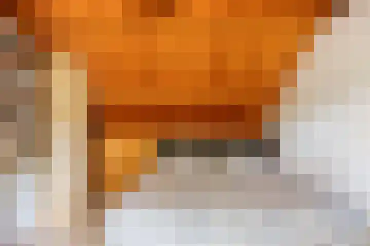 Berkenoord 32 Vaassen thumbnail 18