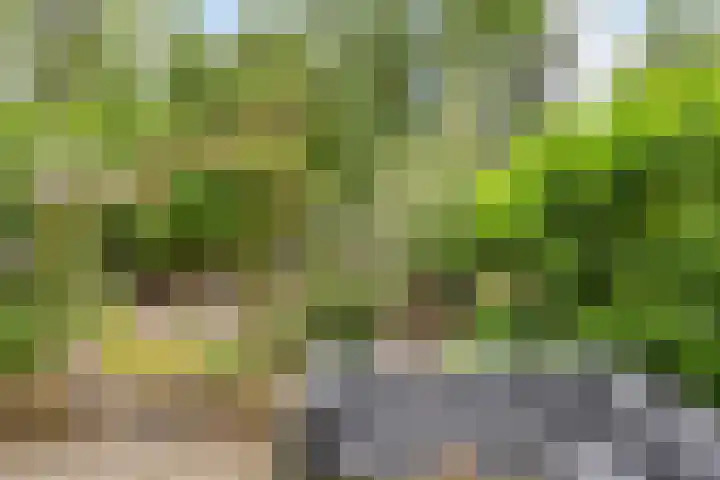 Berkenoord 32 Vaassen thumbnail 21