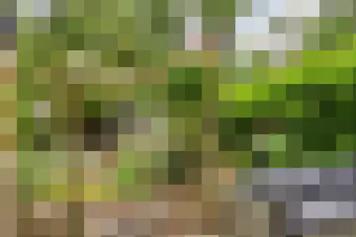 Berkenoord 32 Vaassen thumbnail 22