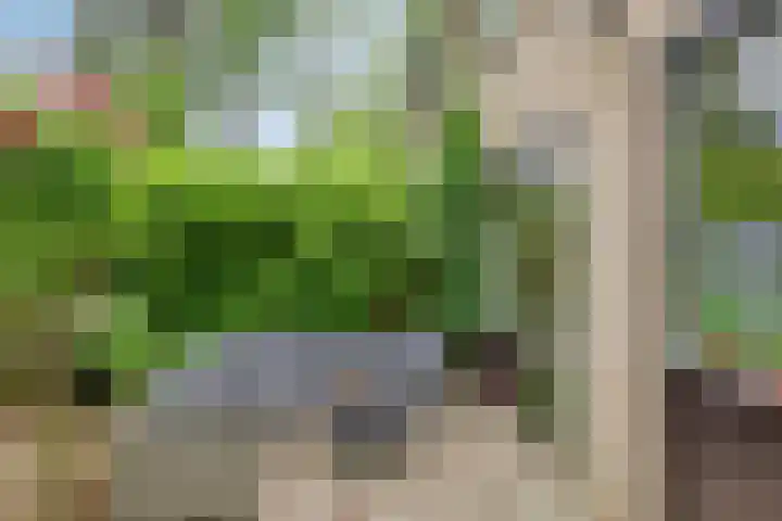 Berkenoord 32 Vaassen thumbnail 23