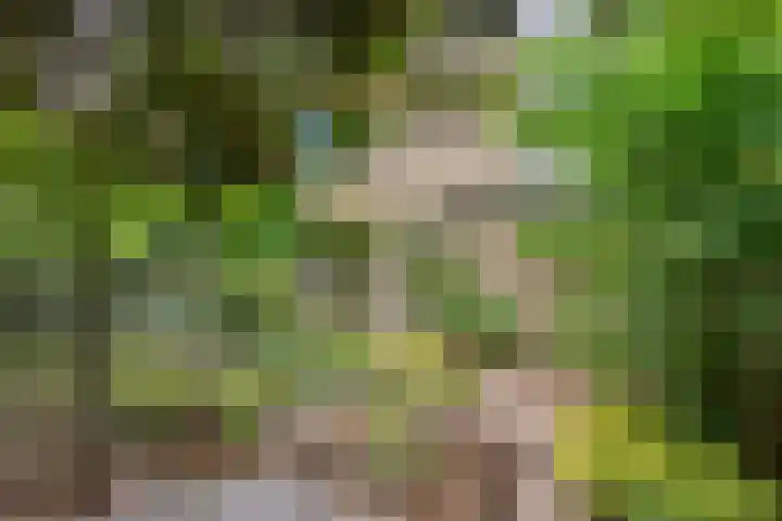 Berkenoord 32 Vaassen thumbnail 24