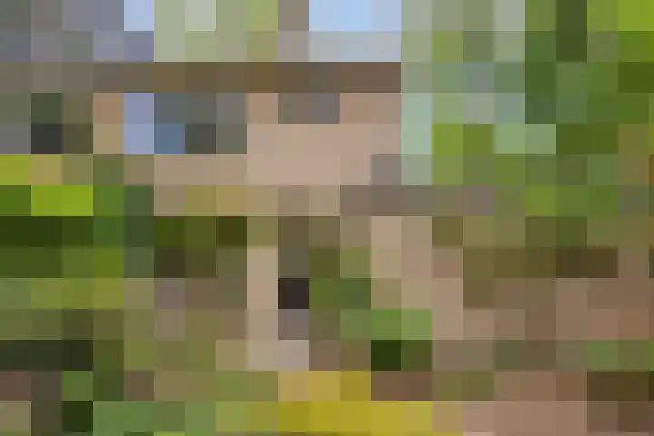 Berkenoord 32 Vaassen thumbnail 25