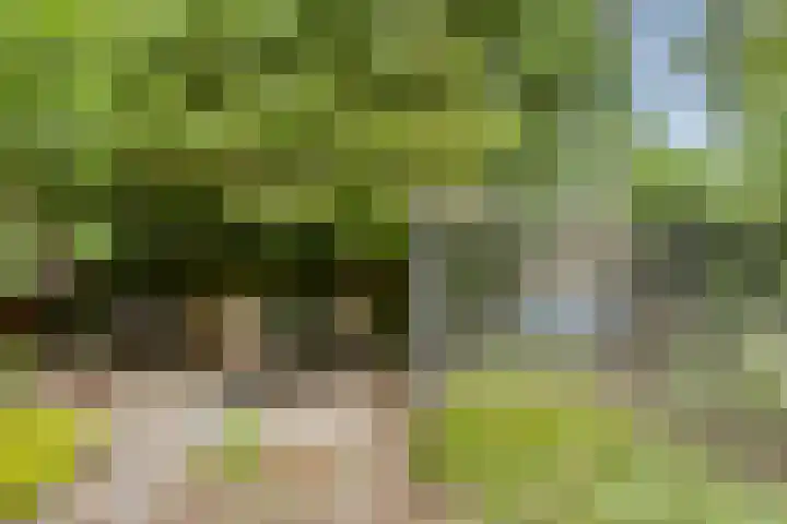 Berkenoord 32 Vaassen thumbnail 26