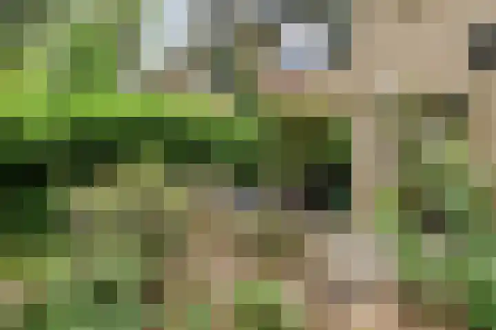 Berkenoord 32 Vaassen thumbnail 27