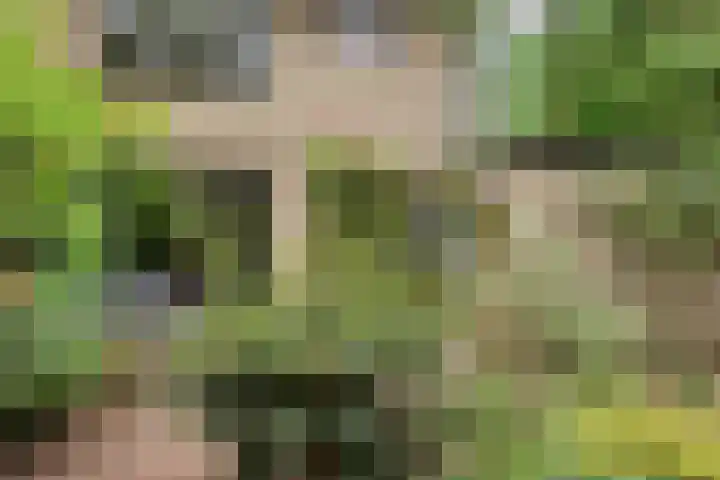 Berkenoord 32 Vaassen thumbnail 28