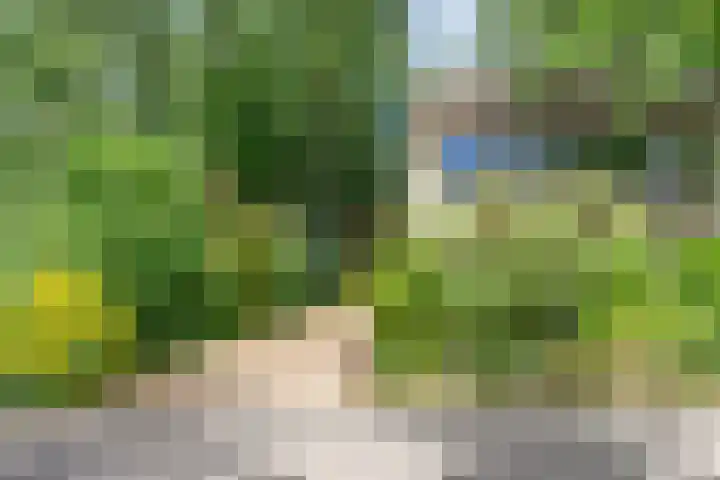 Berkenoord 32 Vaassen thumbnail 29