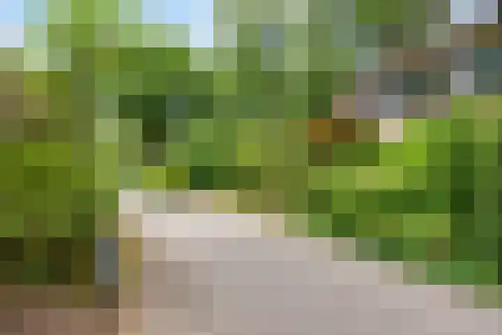 Berkenoord 32 Vaassen thumbnail 30