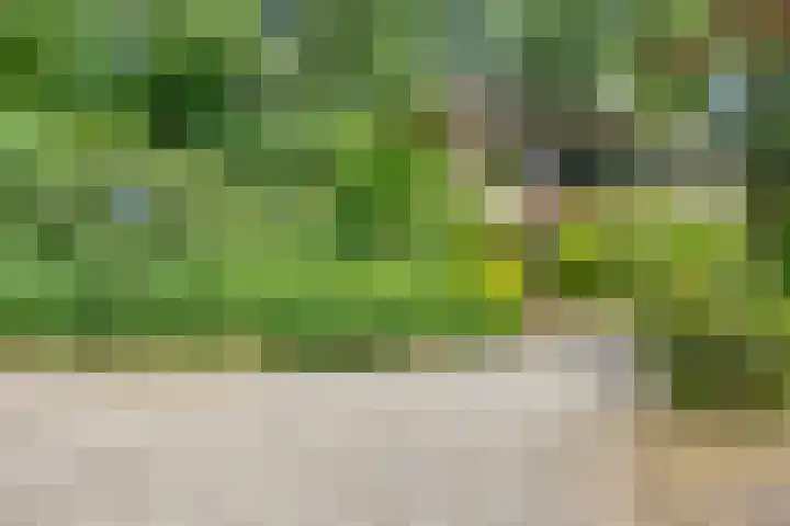 Berkenoord 32 Vaassen thumbnail 31