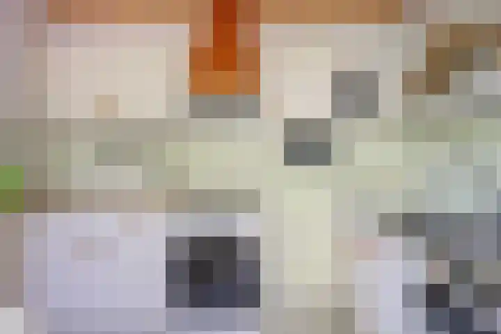 Berkenoord 32 Vaassen thumbnail 7